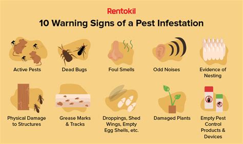 Ten Warning Signs Of A Pest Infestation Debugged Sg The Pest Control Blog