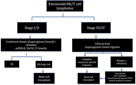 Treatment Flow Chart For Extranodal Nkt Cell Lymphoma Abbreviations