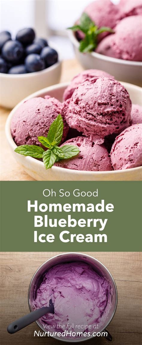 Homemade Lemon Blueberry Ice Cream Recipe Nurtured Homes