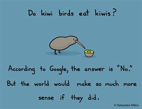 Sebastien Millon Kiwi Kiwi Bird Kiwi Fruit Fruit Cartoon Funny