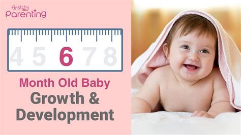 Your 6 Month Old Baby Growth And Development Milestones Activities