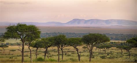 Elsen Karstads Pic A Day Kenya The Plains Of The Masai Mara