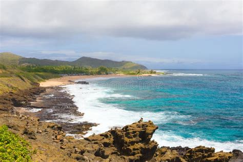 Scenic View Of Sandy Beach Park Oahu Hawaii Stock Image Image Of