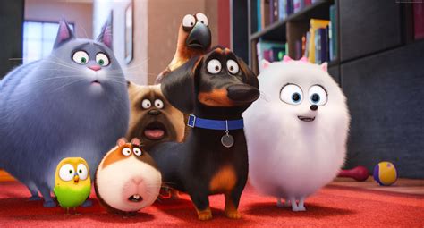 Cartoon Dog Best Animation Movies Of 2016 The Secret Life Of Pets