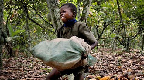 Petition · Stop Child Labor Of Nestlé Cocoa Company In Ivory Coast