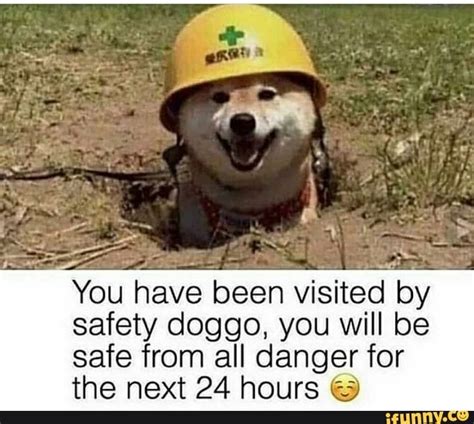 Warns Been Visited By Safety Doggo You Will Be Safe From All Danger