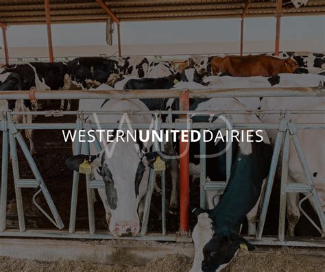 Home Western United Dairies