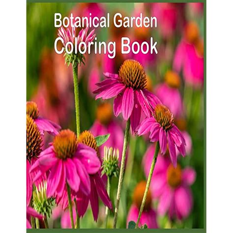 Buy Botanical Garden Coloring Book An Amazing Botanical Garden