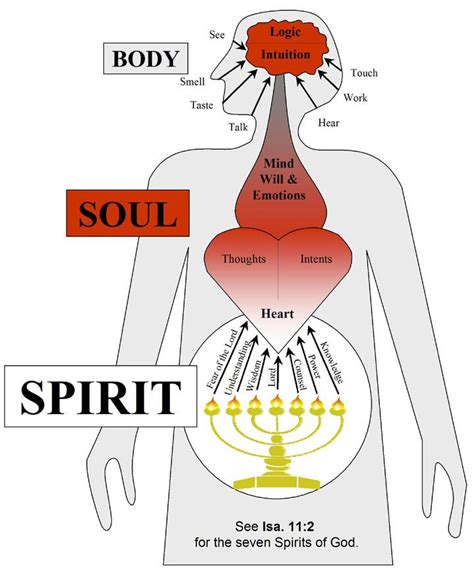 Worship In Spirit And Truth How To Be Saved Body Soul And Spirit