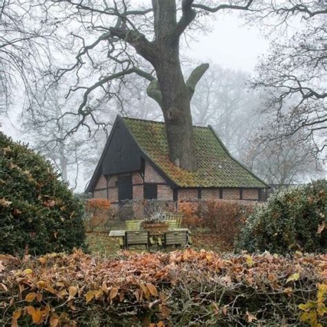 🍂witchy Autumns🌙 Cottage In The Woods October Country Architecture