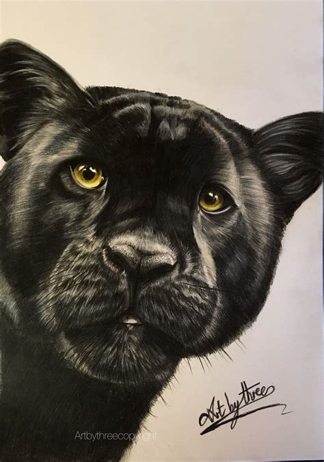 Black Panther A4 Pencil Drawing For Sale £170 Black Panther Drawing