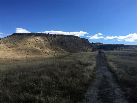 We did not find results for: Ceremony at Buffalo Jump - Wild Reiki and Shamanic Healing