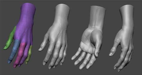Zbrush Character 3d Character Human Anatomy For Artists Hand Anatomy