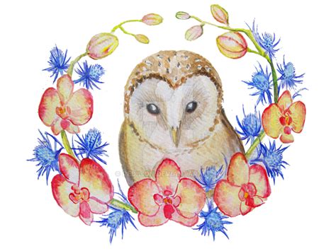 Barn Owl And Orchid By Redilion On Deviantart