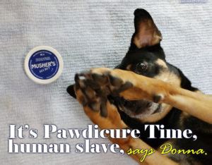 How to Cut Your Dog's Black Nails - Stress-free Grooming ...