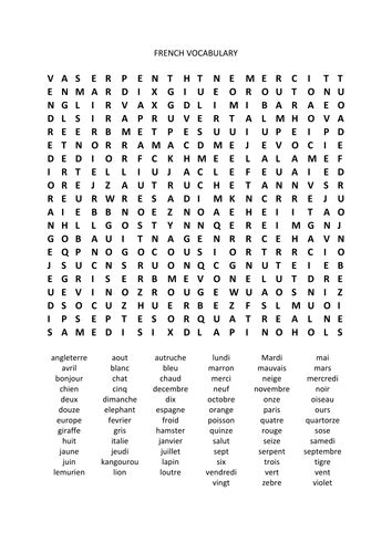 Vocabulary Word Search Teaching Resources