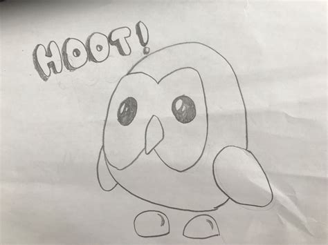 Adopt Me Pets Drawing Owl Anna Blog