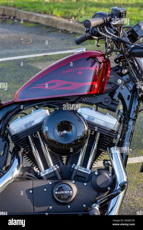 Harley Davidson Motorrad Ruhm Fotos Und Bildmaterial In Hoher
