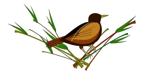 Sparrow Png Pic Png Mart