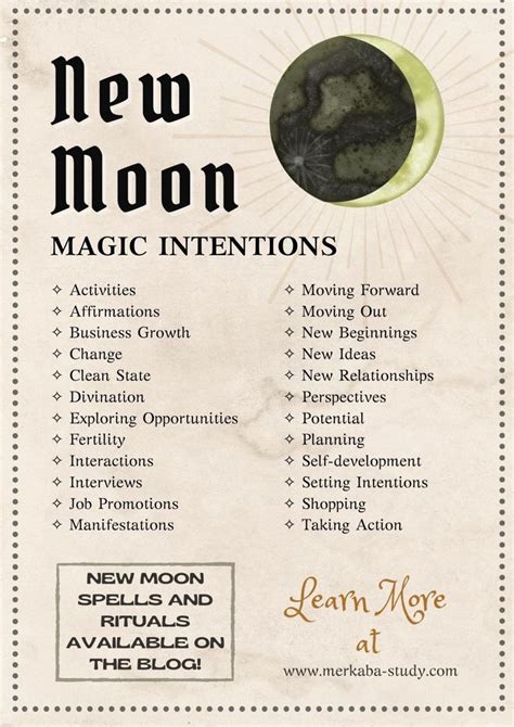 9 New Moon Rituals And Spells Moon Magic For Beginner Witches ⋆