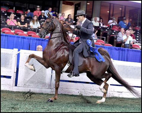 6:46 high octane films 486 161 просмотр. Monnington Farm - Shelbyville, KY - Marc Of Charm