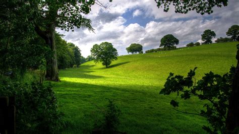Green Landscape Wallpapers Top Free Green Landscape Backgrounds