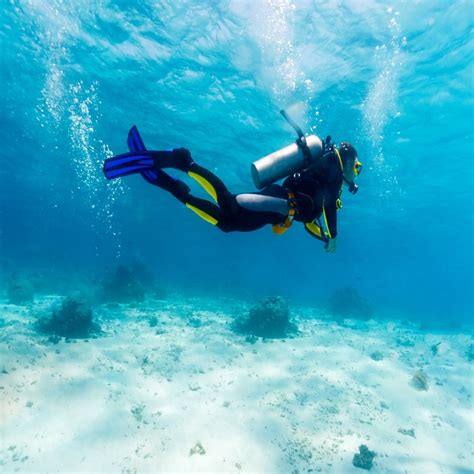Scuba Diving In Havelock Island Shore Dive Try Dive Book Scuba