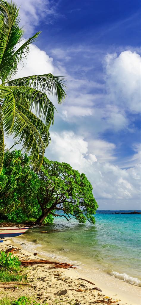 Paradise Tropical Palm Trees Sea Beach Clouds 1242x2688 Iphone Xs