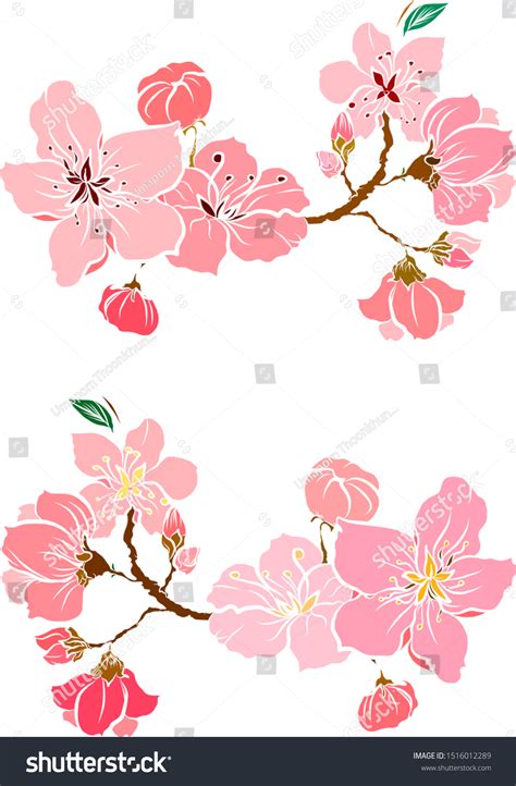 Free Hand Sakura Flower Vector Set Beautiful Royalty Free Stock