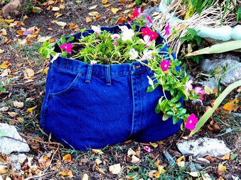 Blue Jean Planter Pot Made From Real Blue Jeans Cut Like Shorts Mine