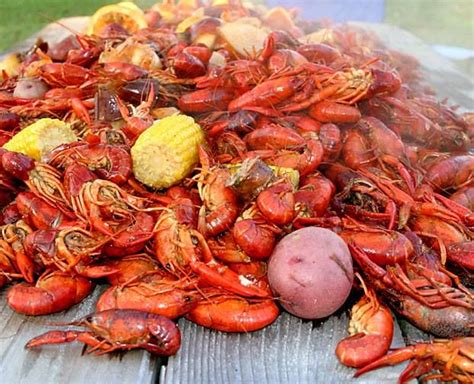 Find Out Why Nola Is A Must Visit City For Foodies Crawfish Crawfish