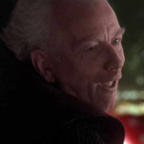 We mostly supply tulip and lily bulbs. Dewit | Garpedia Wiki | Fandom