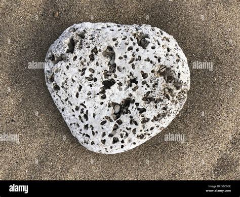Textured Rock With Holes On Sandy Beach Stock Photo Alamy