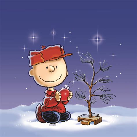 charlie brown holiday wallpaper carrotapp