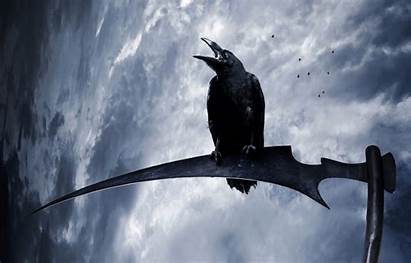 Crows Reaper Scythe Braid Fantasy Sky Wallpapersafari