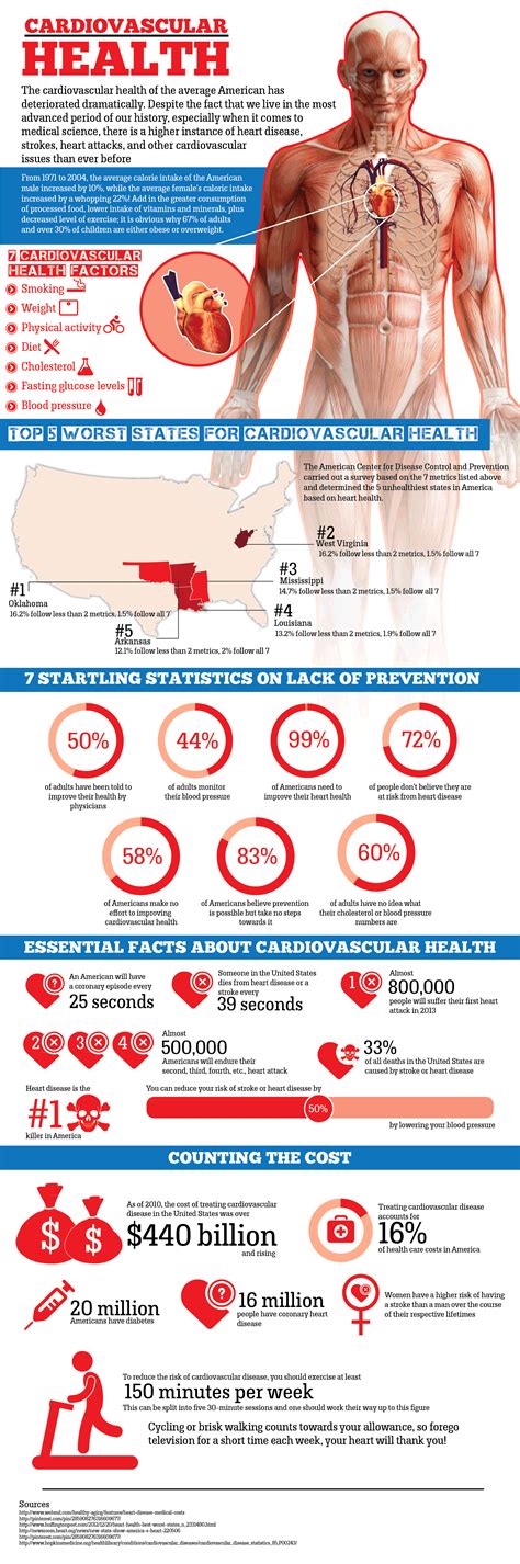 Health Info Graphic For You Cardiovascular Health Infographic