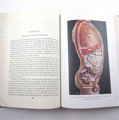 The Illustrated Encyclopedia Of Sex Vintage 1950s Book Or Etsy
