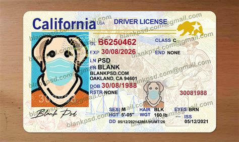 Fillable Editable Blank California Drivers License Template Hdvar