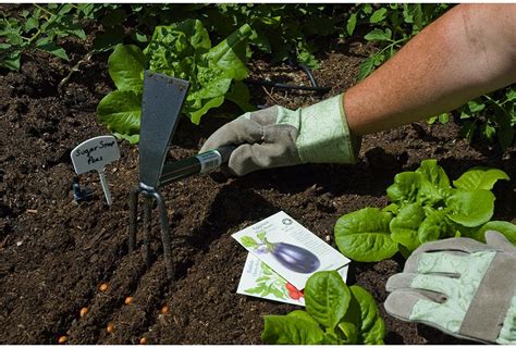 Hand Cultivator Guide 5 Top Choices For Your Garden