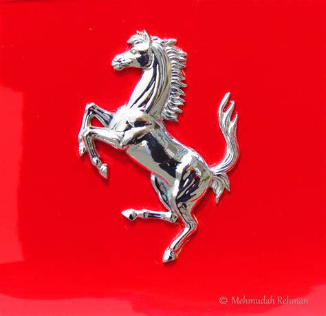 For many years he drove for various companies but in 1929 he created a the black horse logo is the trademark symbol of one of the best cars in the world, the magnificent ferrari. Horse ferrari Logos