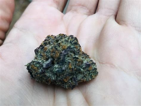 Came from Chicago to grab the infamous Sherbacio ⛽️🍨 21.3% Zen leaf