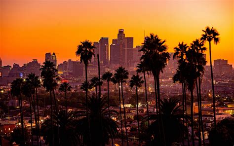 Wallpaper City Sunset California Palm Trees Los Angeles Wallpaperforu