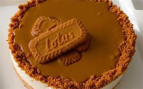 Voiçi mon premier cheesecake sans cuisson. Recette Cheesecake Spéculoos sans cuisson pas chère et ...