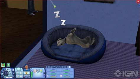 The Sims 3 Pets Screenshots Pictures Wallpapers Pc Ign