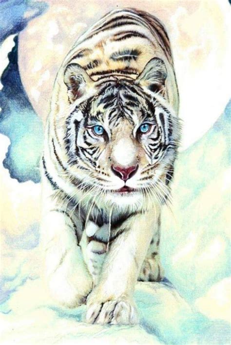 Animals And Pets Cute Animals Save The Tiger Tiger Artwork Lion