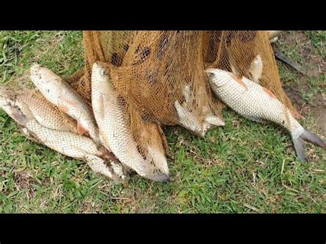 Fishing BD | Method of catching fish In River - YouTube
