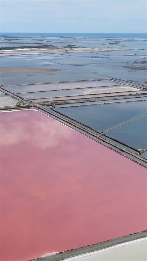 Pink Sea Salt Marshes In France Video In 2022 Pink Sea Salt Salt