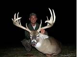 Pictures of Indiana Whitetail Outfitters