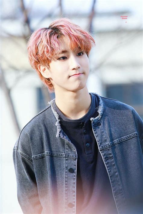 Biodata, Profil, Fakta Unik dan Foto Member Stray Kids Lengkap