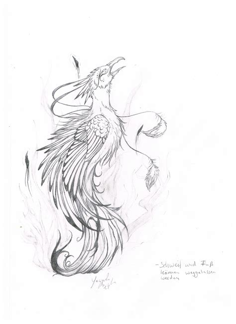 Phoenix painting phoenix artwork phoenix drawing phoenix images a phoenix phoenix makeup phoenix wallpaper phoenix force architecture fantasy animal fantasy art magical creatures fantasy creatures fairytale creatures rise from the ashes phoenix rising dark phoenix fire art. 404 Not Found | Phoenix tattoo, Flame tattoos, Phoenix ...